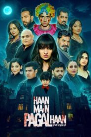 Haan Main Pagal Haan (2025)